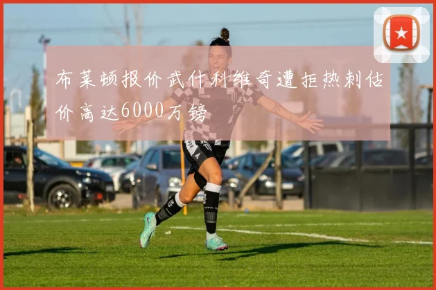 布莱顿报价武什科维奇遭拒热刺估价高达6000万镑