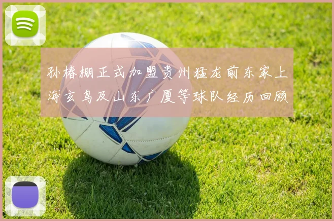 孙椿棚正式加盟贵州猛龙前东家上海玄鸟及山东广厦等球队经历回顾